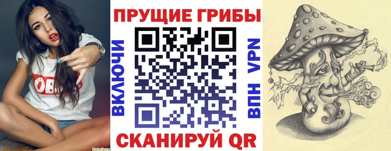 наркотики  Чита  Псилоцибиновые грибы Psilocybe 
