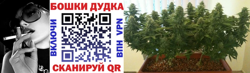 где найти наркотики  маркетплейс как зайти  Шишки марихуана Ganja  Чита 